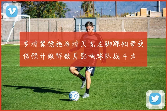 多特蒙德施洛特贝克左脚踝韧带受伤预计缺阵数月影响球队战斗力